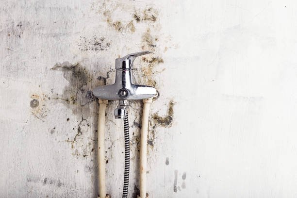 Best Certified Mold Removal  in Sparks, TX