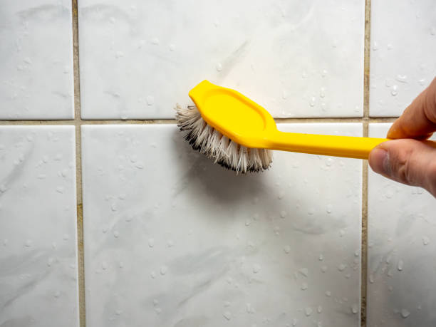 Best Mold Removal and Inspection  in Sparks, TX