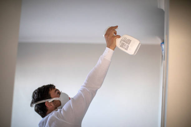 Best Mold Testing  in Sparks, TX