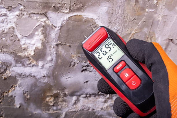 Best Toxic Mold Removal  in Sparks, TX