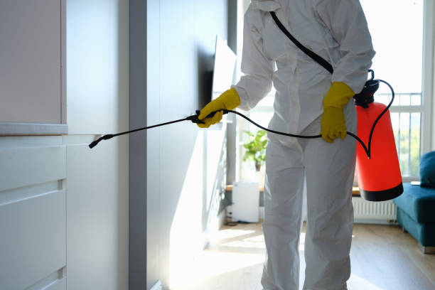Best Local Mold Removal Service  in Sparks, TX