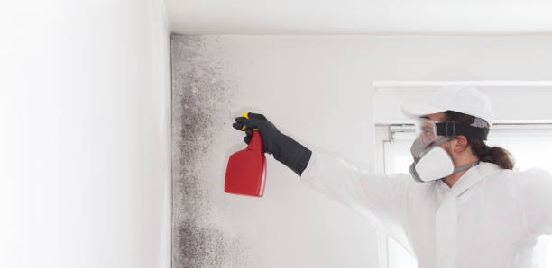 Best Crawl Space Mold Removal  in Sparks, TX