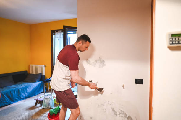 Best Commercial Mold Removal  in Sparks, TX