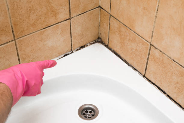 Best Mold Remediation  in Sparks, TX